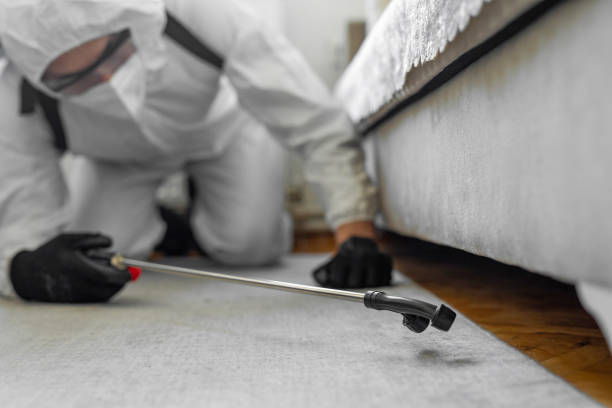 Professional Ant Control technician working in Shorewood-Tower Hills-Harbert, MI